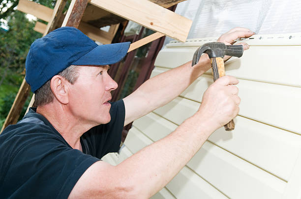 Best Siding Painting and Refinishing  in Ladysmith, WI